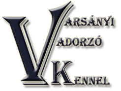 Varsányi Vadorzó kennel